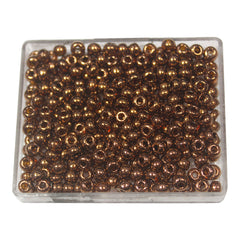 Rocailles-RH VSB-19102 (6/0 3.7-4.3 mm)