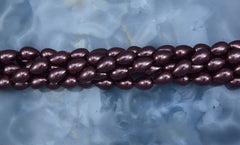 Pear  VGP-26 (9x13 )